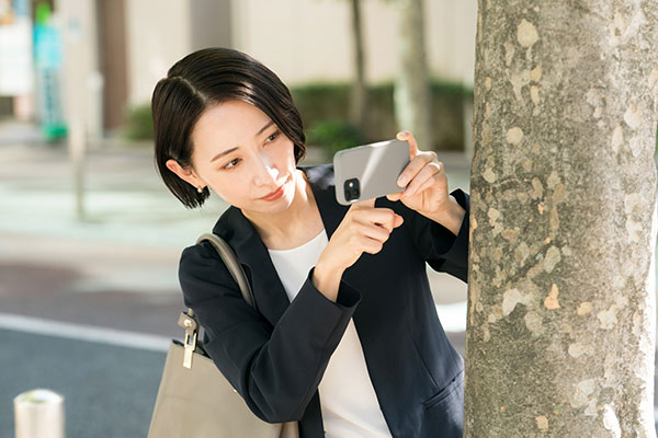 �����J�n